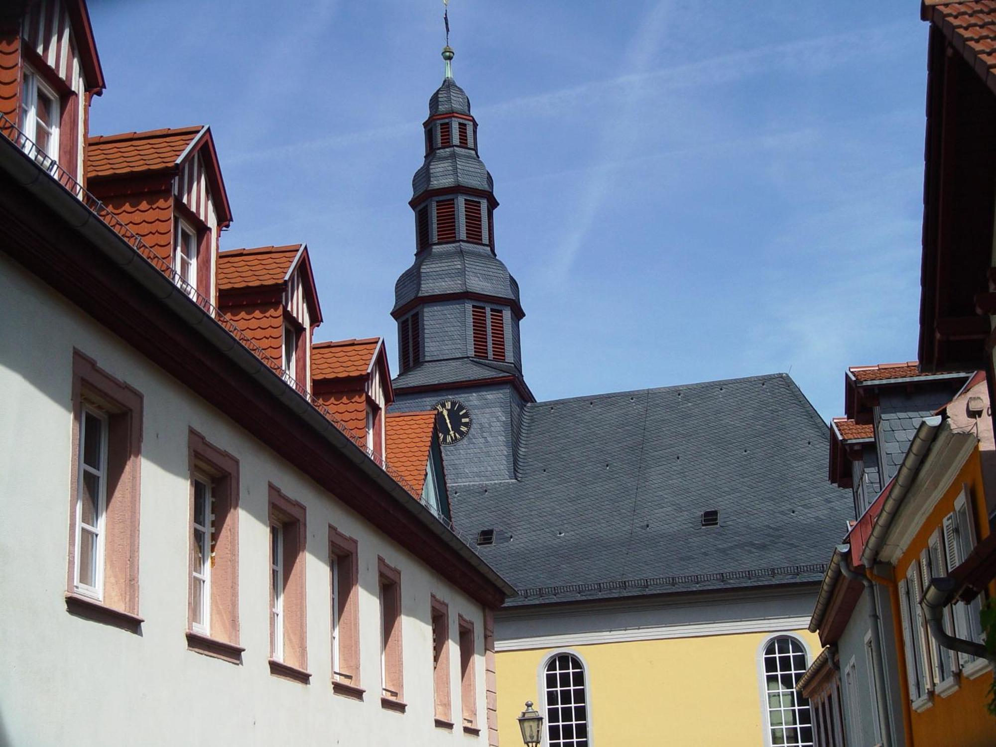 2 Zimmer Wohnung, Kueche, Bad, Balkon, Netflix Alzey Exterior foto